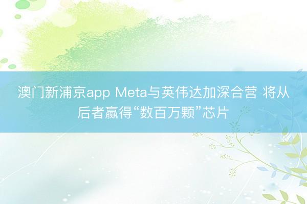 澳门新浦京app Meta与英伟达加深合营 将从后者赢得“数百万颗”芯片