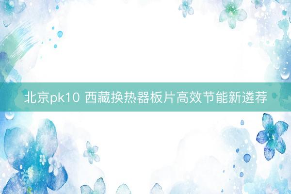 北京pk10 西藏换热器板片高效节能新遴荐