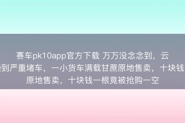 赛车pk10app官方下载 万万没念念到，云南墨江春节高速碰到严重堵车，一小货车满载甘蔗原地售卖，十块钱一根竟被抢购一空